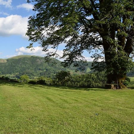Gite 4 Personnes Dans Le Cantal Animaux Bienvenus Lascelle Εξωτερικό φωτογραφία